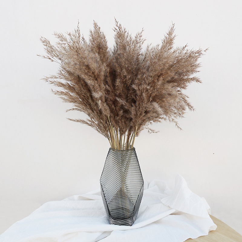 Pampas Grass Decor - 10 szt. Kolorowe Naturalne Trzciny Trawa
