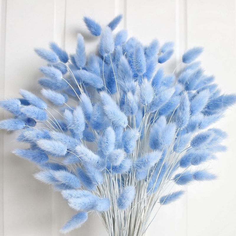 Pampas Grass Decor - 100 SZTUK Niebieska Kołyska Królika Króliczy